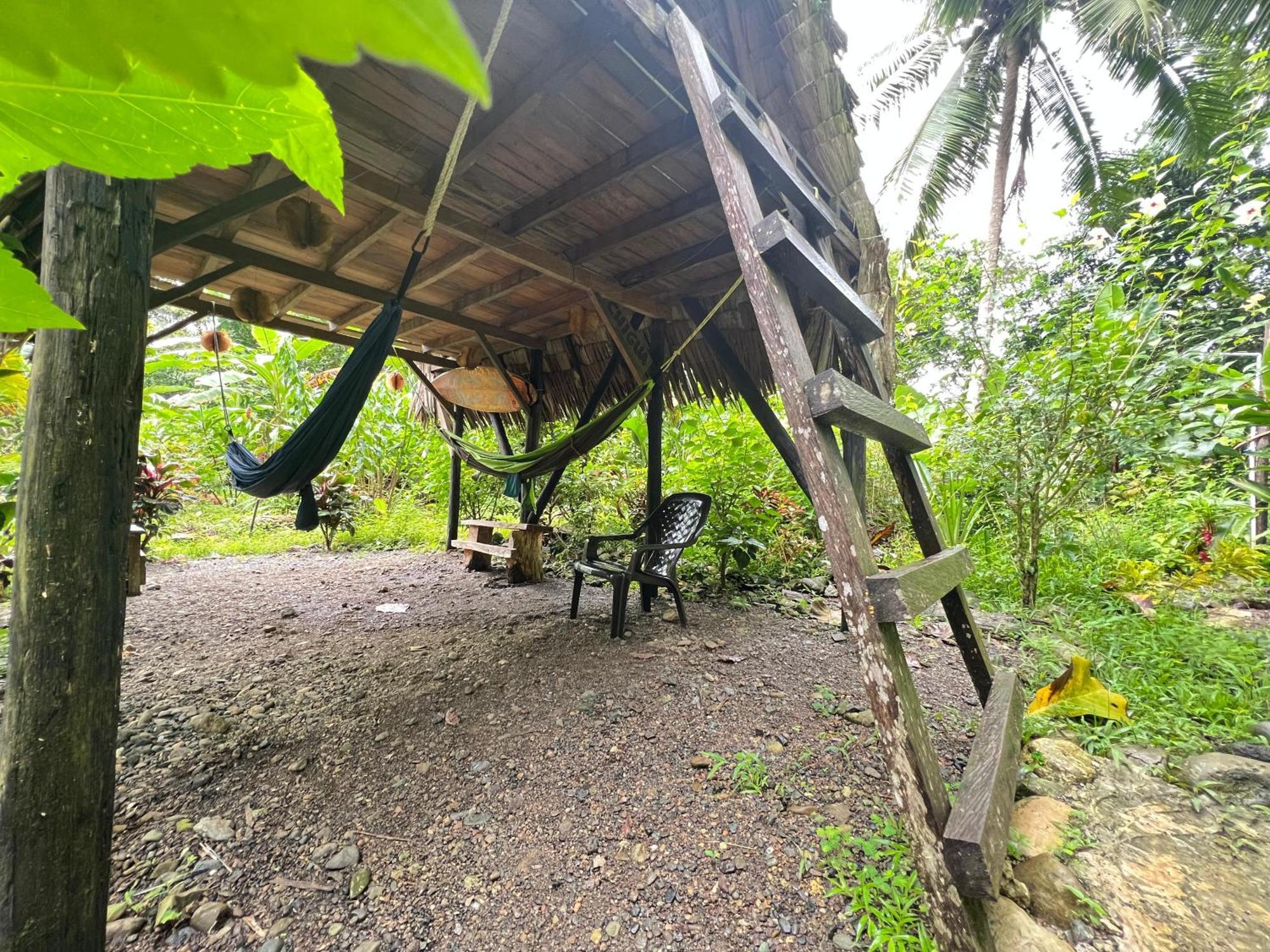 La Aldea Del Primitivo Nuquí Exterior foto