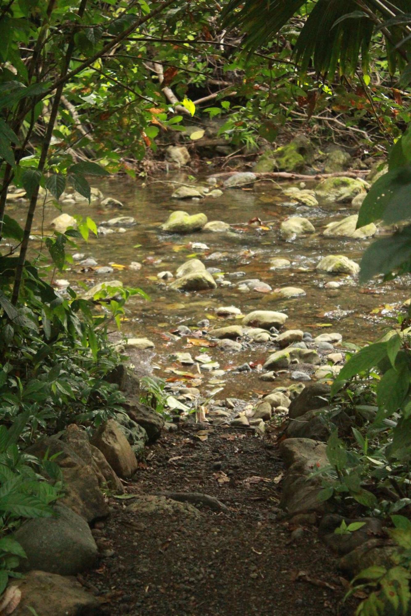 La Aldea Del Primitivo Nuquí Exterior foto